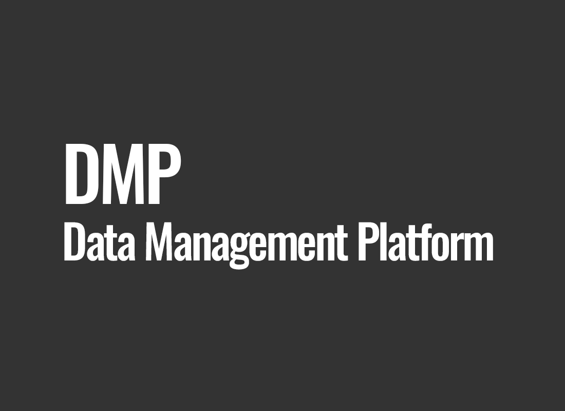 DMP (Data Management Platform)