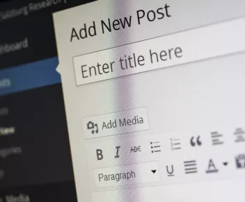 Portal, web portal, CMS. Understanding the Differences