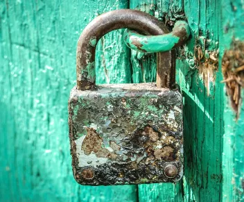 Network Security Optimization through Effective Drupal Audit Strategies