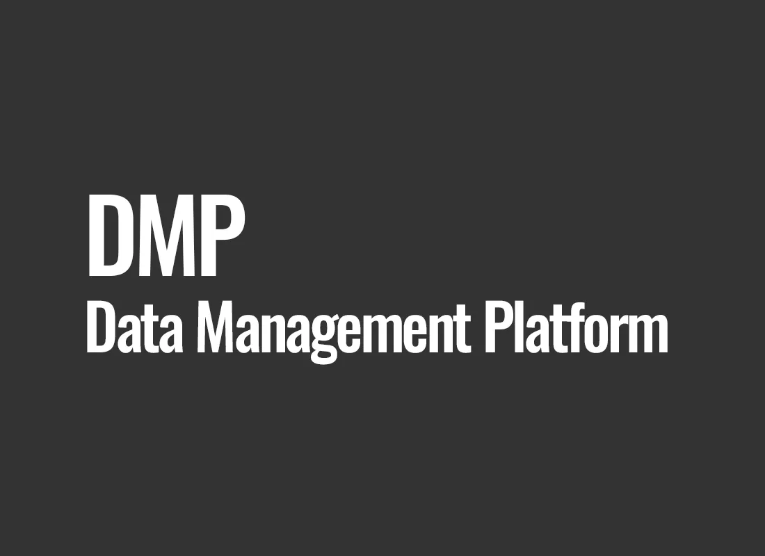 DMP (Data Management Platform)