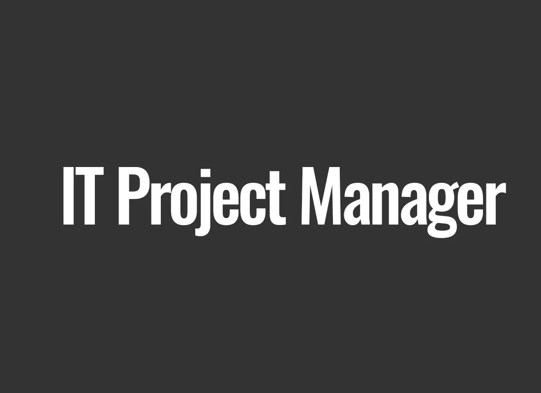IT Project Manager