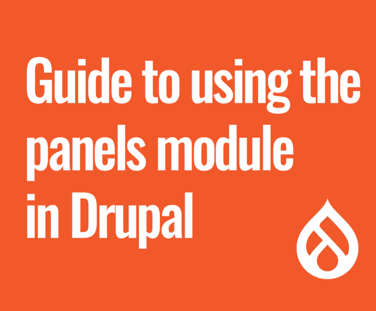 Guide to Using the Panels Module in Drupal for Creating Custom Page Layouts