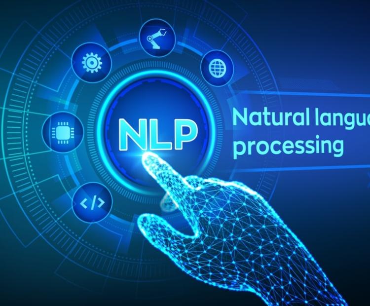 The Application of NLP in Automatic Indexing and Content Search in an Online Store