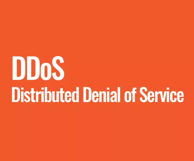 DDoS (Distributed Denial of Service)