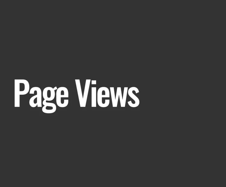 Page Views