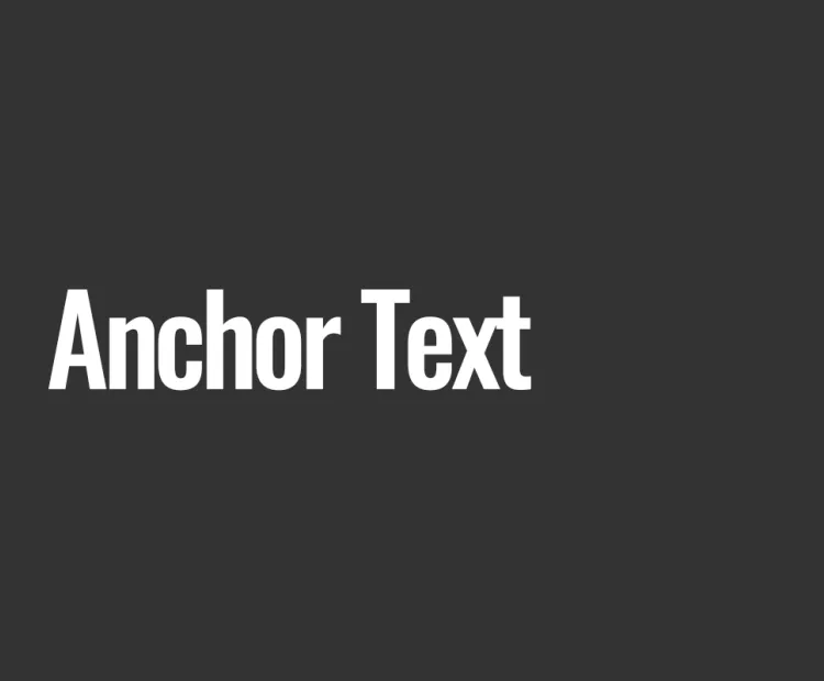 Anchor Text