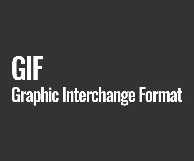 GIF (Graphic Interchange Format)