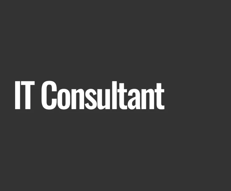 IT Consultant 