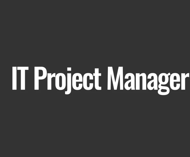 IT Project Manager