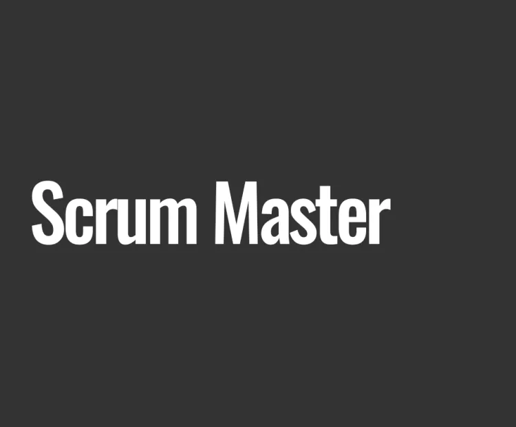 Scrum Master